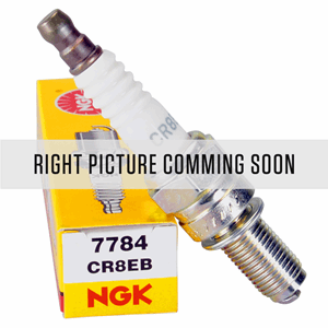 NGK spark plug BR9ECM