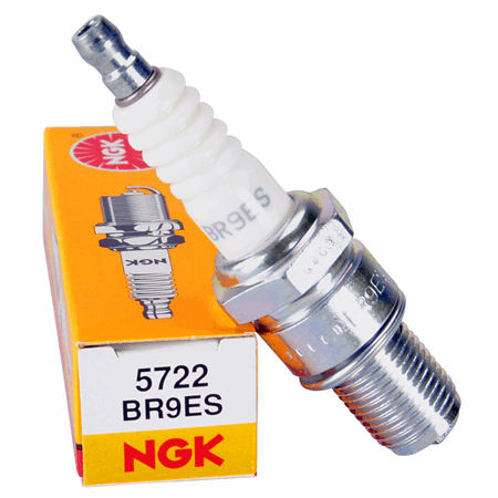 NGK BR9ES Spark Plug