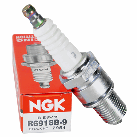Spark Plug NGK R6918B-9