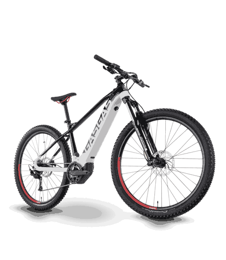 GAS GAS CROSS COUNTRY 2.0  XL 2022