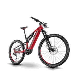 GAS GAS E-BIKES