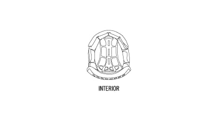 Apex Helmet Interior