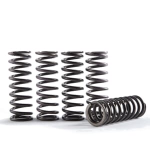 Hinson Clutch Spring Kit