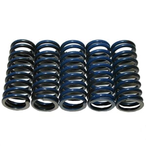 Clutch Springs