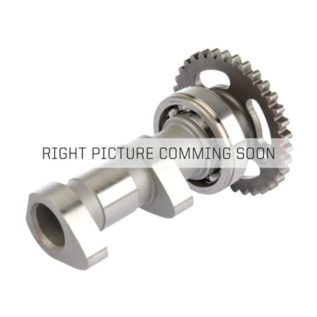 Hot Cams Camshaft Exhaust