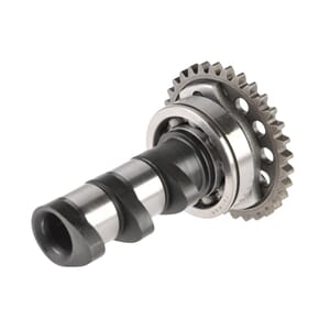 CAMSHAFT IN HOT CAMS