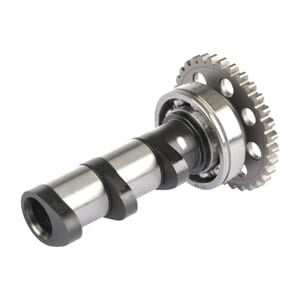 Hot Cams Camshaft Intake