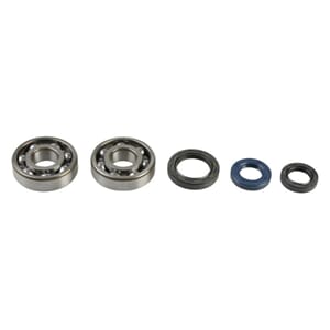 Crankshaft Bearing