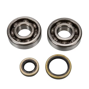 Hotrods main bearing & seal kit RM125 01-14
