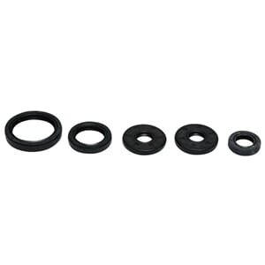 Athena Oil Seal Kit Complete