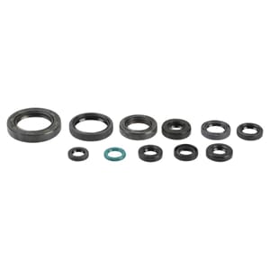 Athena Oil Seal Kit