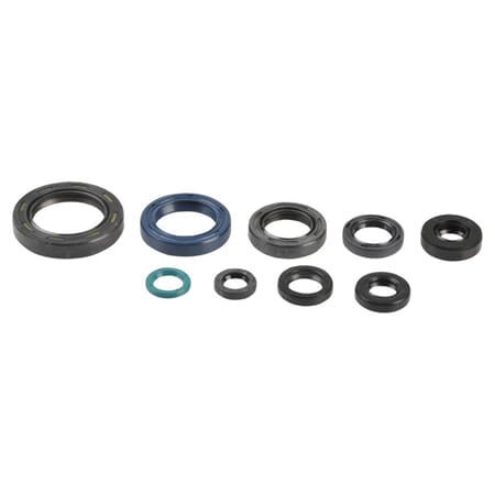 Athena Oil Seal Kit