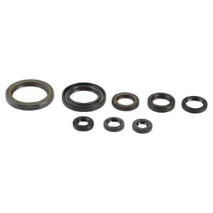 Athena Oil Seal Kit Complete