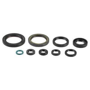 Athena Oil Seal Kit Complete