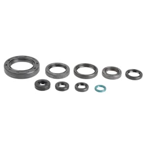 Athena Oil Seal Kit