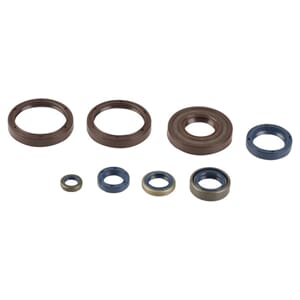 Athena Oil Seal Kit