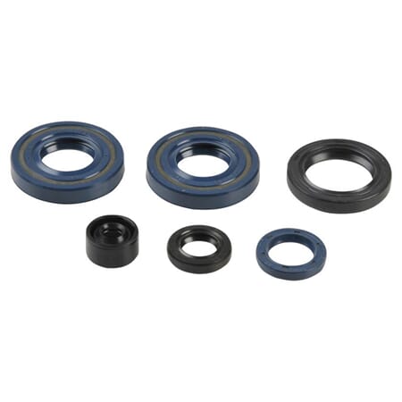 Athena Oil Seal Kit Complete