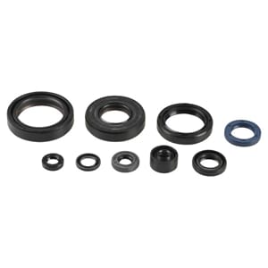 Athena Oil Seal Kit Complete