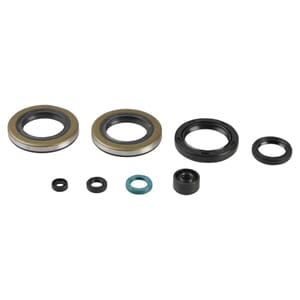 Athena Oil Seal Kit
