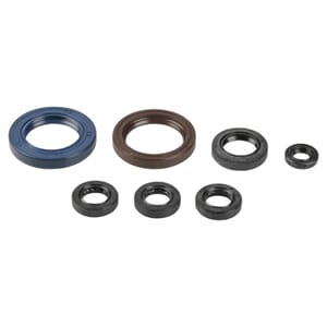 Athena Oil Seal Kit