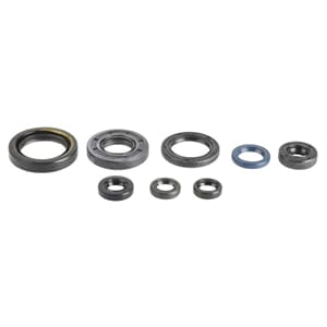 Athena Oil Seal Kit Complete