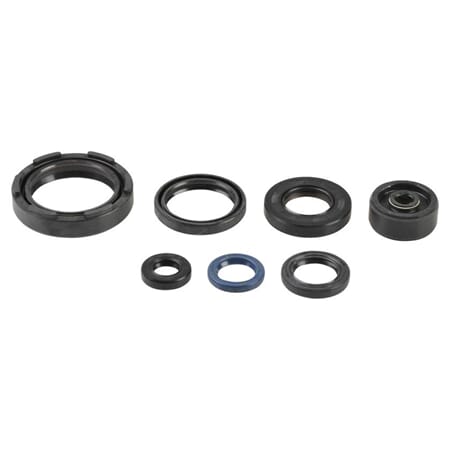 Athena Oil Seal Kit