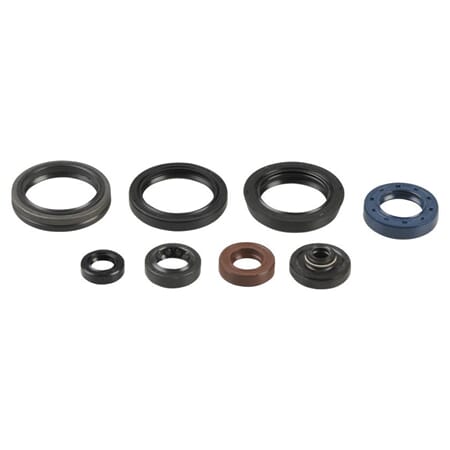 Athena Oil Seal Kit Complete