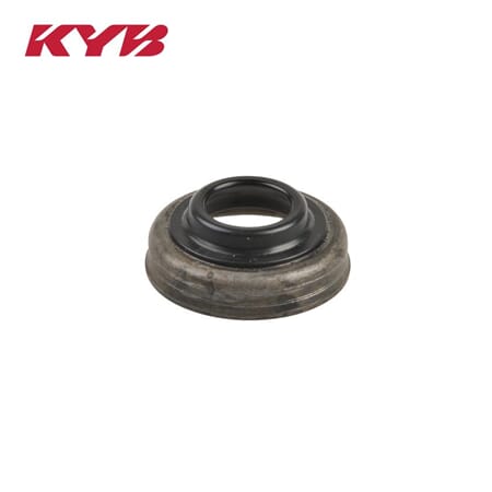 Dust Seal