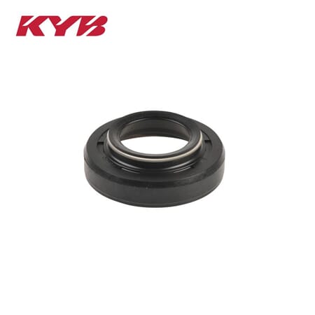 Dust Seal