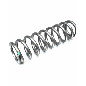 KYB Shock Spring